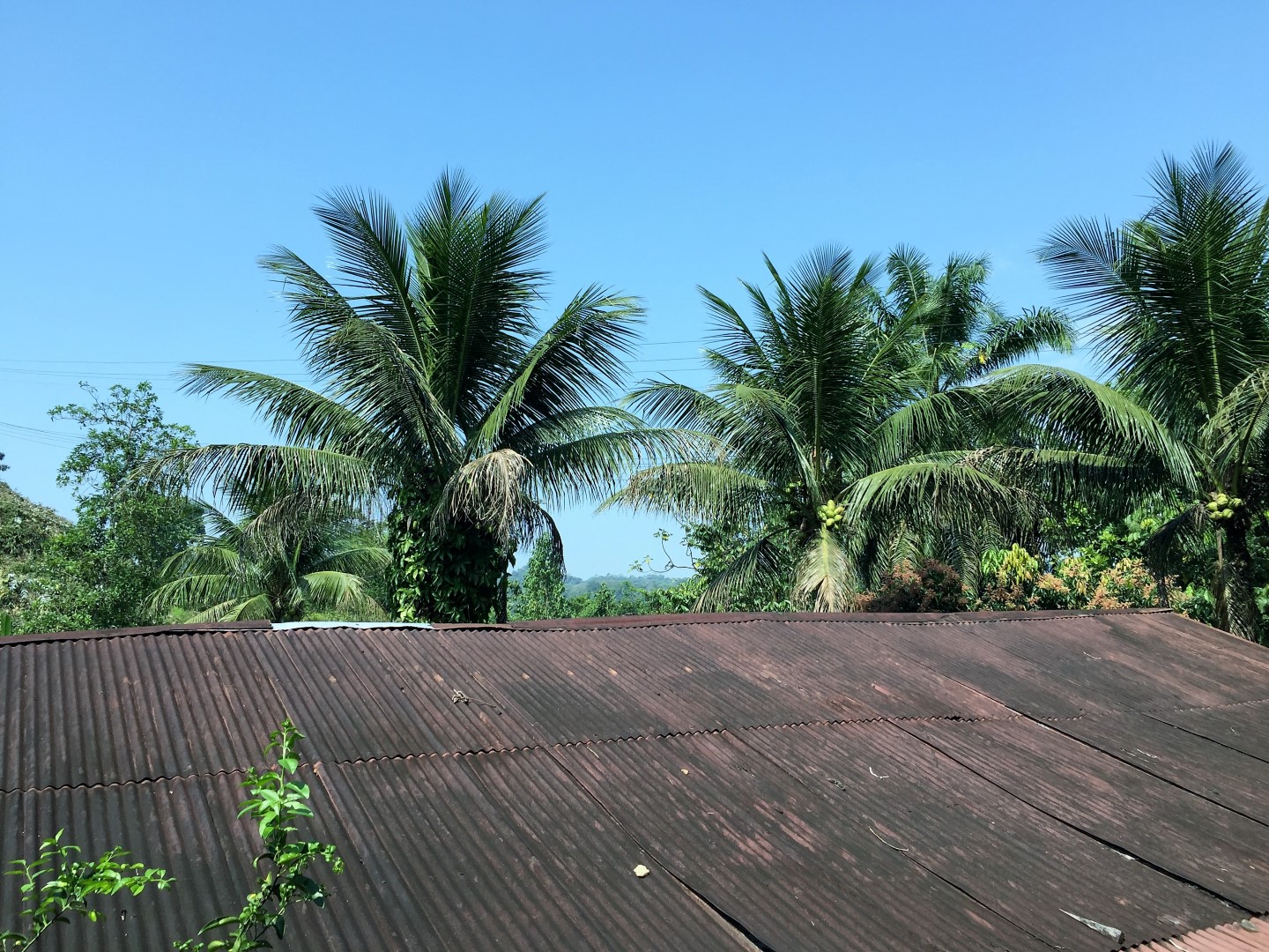 Draugi no visas pasaules