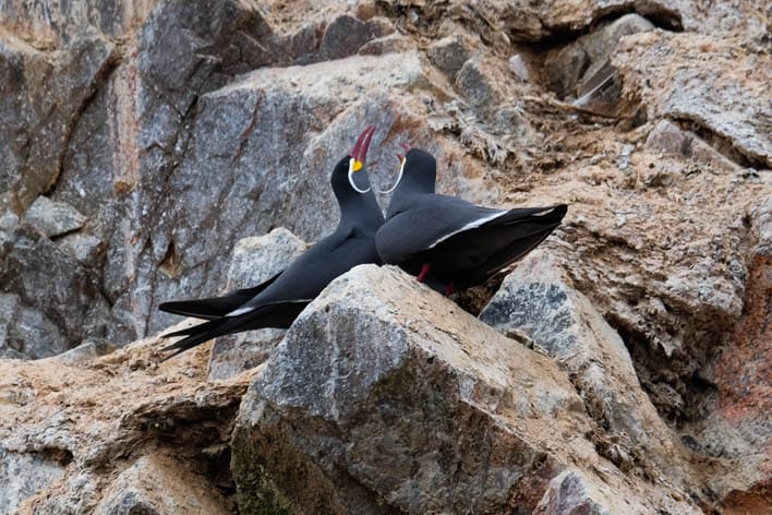 Okeāns, tuksnesis un debesis jeb 2 dienas Ica reģionā