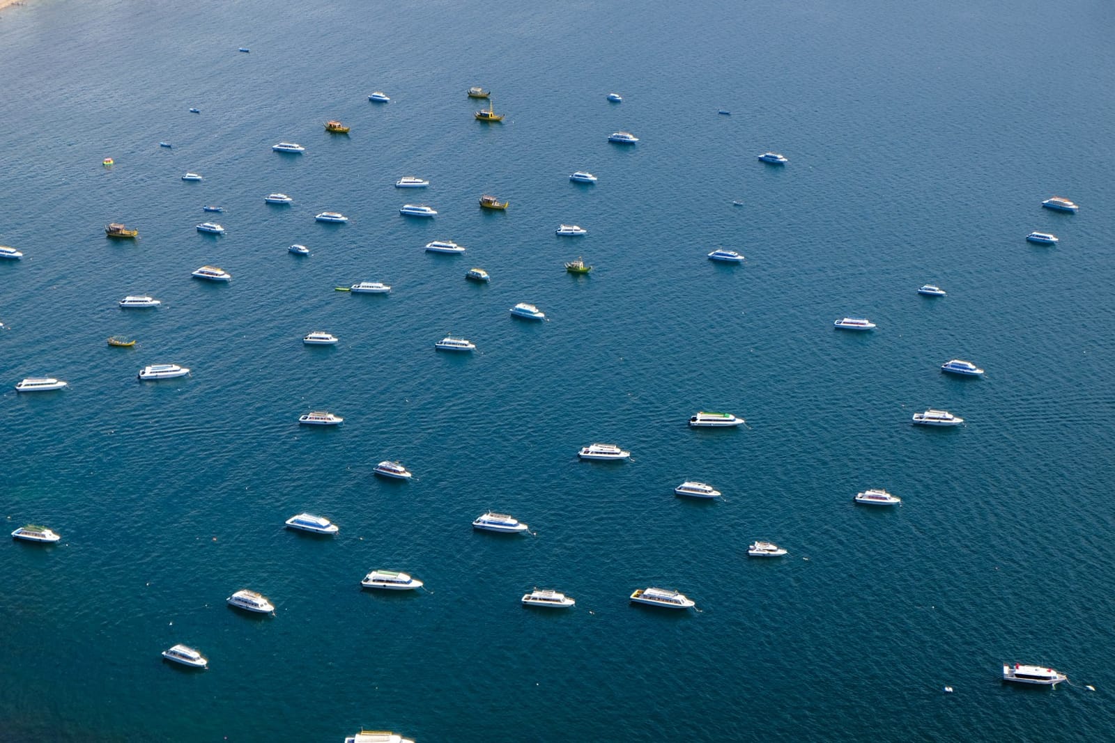 Nakšņot gliemezī, bruņurupucī vai debesīs? Tas viss iespējams Kopakabanā.