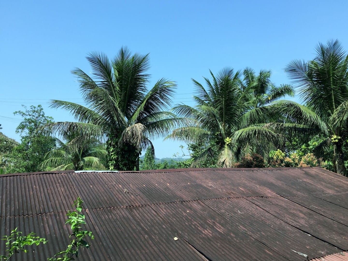 Draugi no visas pasaules