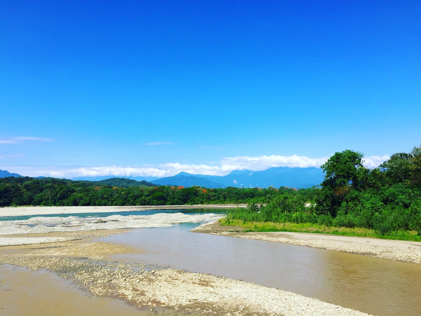 Džungļu aicinājums