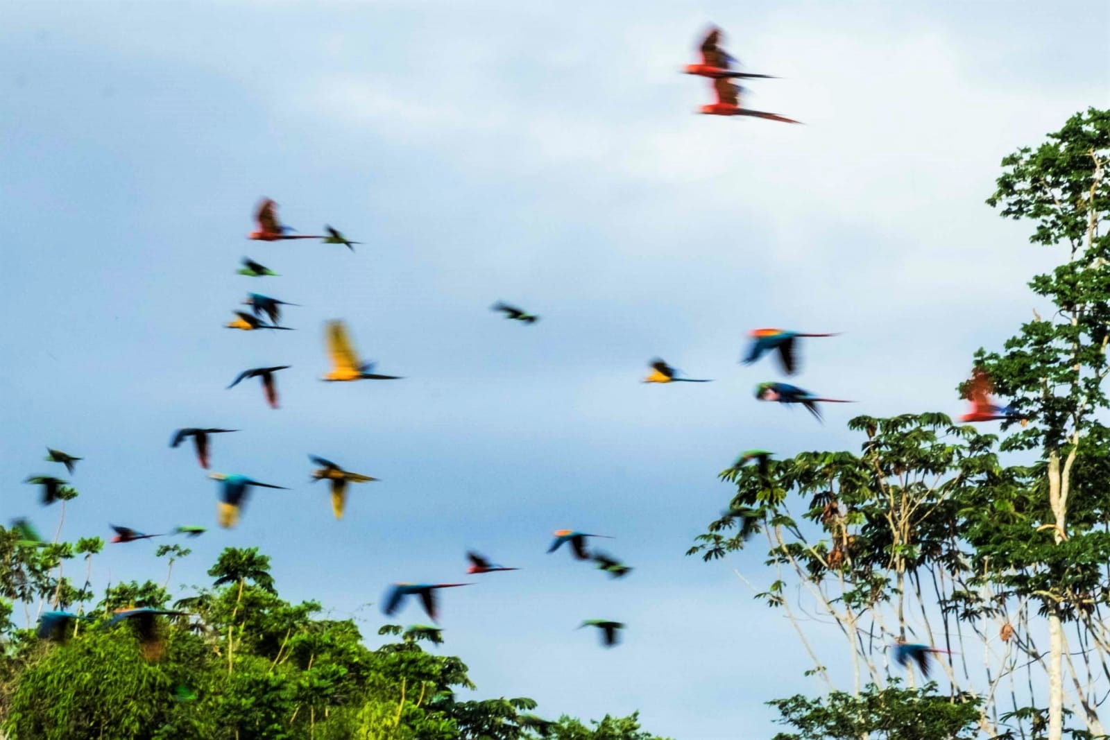 Viena diena pētnieka dzīvē